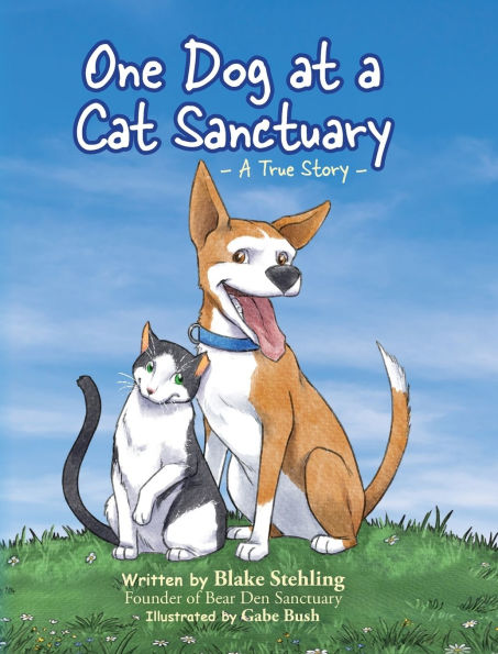one-dog-at-cat-santuary